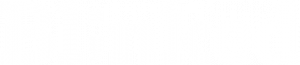 logo-blinked-white